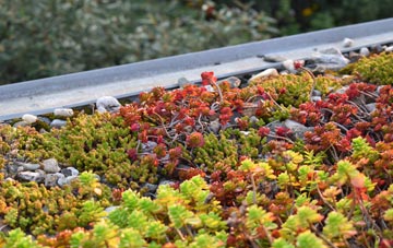 the cost of Cranbrooke Common green roof installation