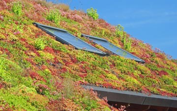 Cranbrooke Common living roof systems