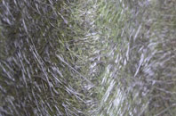 Cranbrooke Common fibreglass roof work